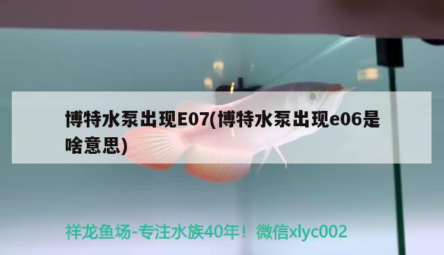 博特水泵出現(xiàn)E07(博特水泵出現(xiàn)e06是啥意思) 博特水泵出現(xiàn)E07(博特水泵出現(xiàn)e06是啥意思) 博特水族
