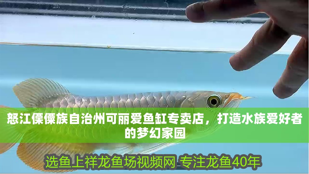 怒江傈僳族自治州可麗愛魚缸專賣店，打造水族愛好者的夢幻家園 怒江傈僳族自治州可麗愛魚缸專賣店，打造水族愛好者的夢幻家園 iwish愛唯希品牌魚缸 第1張