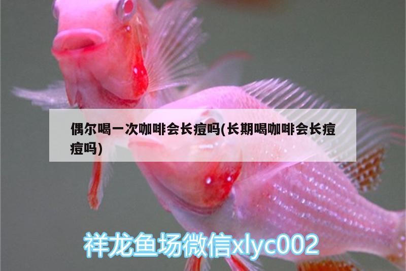 魚缸用增氧泵價格是多少:魚缸增氧機-xtrac增氧機-xtrac增氧機 偶爾喝一次咖啡會長痘嗎(長期喝咖啡會長痘痘嗎) 馬來西亞咖啡 偶爾喝一次咖啡會長痘嗎(長期喝咖啡會長痘痘嗎) 偶爾喝一次咖啡會長痘嗎(長期喝咖啡會長痘痘嗎) 馬來西亞咖啡