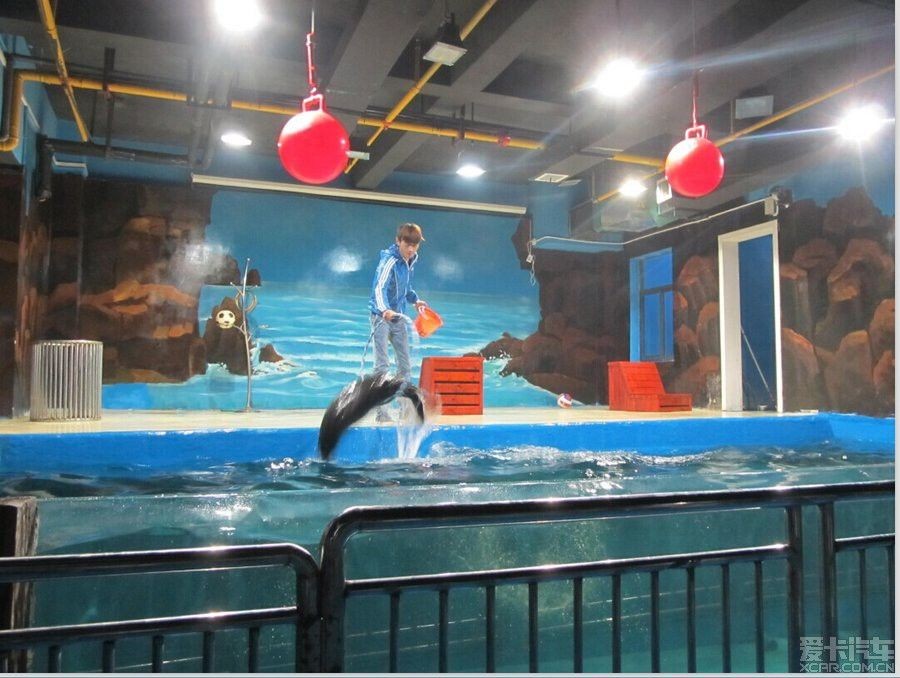鄂州水族館vs祥龍魚場（湖北鄂州水族館是一個專注于龍魚養殖和出口的企業）
