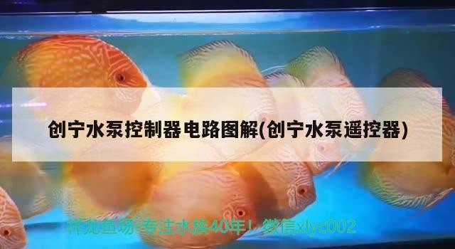 創寧水泵控制器電路圖解(創寧水泵遙控器)