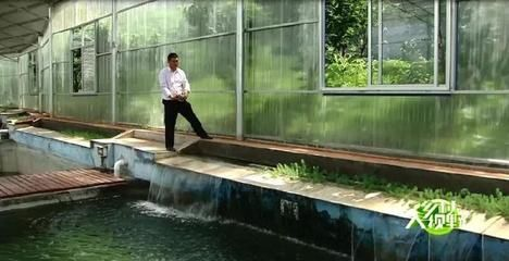 魟魚養殖繁殖技術：[需手動填充]魚繁殖繁殖技術 魟魚養殖繁殖技術：[需手動填充]魚繁殖繁殖技術 魟魚百科 第3張