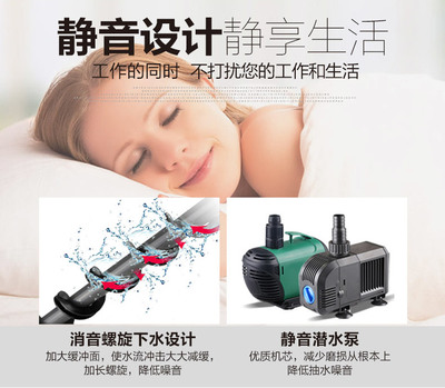 過背金龍魚用什么顏色的燈光養好(過背金龍魚用什么顏色的燈光養好)