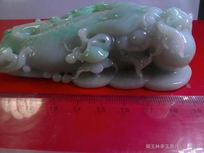 玉林龍魚vs祥龍魚場（玉林龍魚與祥龍魚場之間的區別）