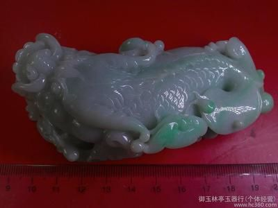 玉林龍魚vs祥龍魚場（玉林龍魚與祥龍魚場之間的區別）