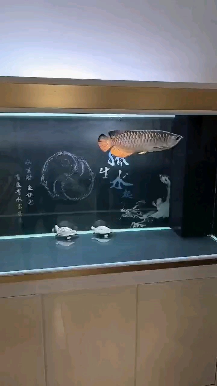 兄弟你胖了[xia][xia][xia]