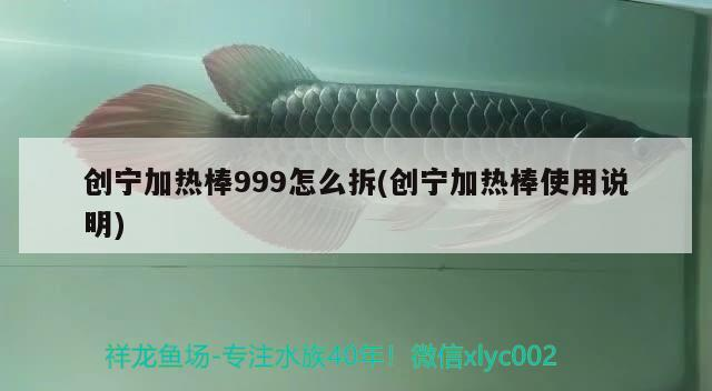 創寧加熱棒999怎么拆(創寧加熱棒使用說明)