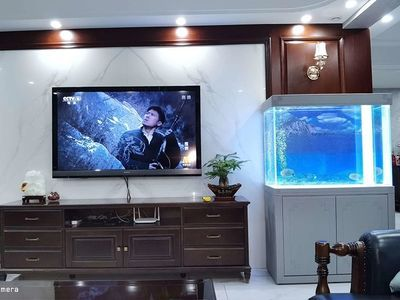 龍魚鱗片感染的治療需要根據病因選擇藥物及使用方法，龍魚鱗片感染怎么辦