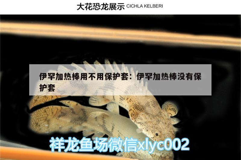 伊罕加熱棒用不用保護套:伊罕加熱棒沒有保護套