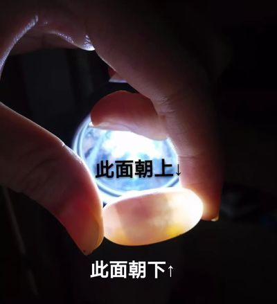 豬鼻龜蛋孵化教程圖解：豬鼻龜蛋孵化教程