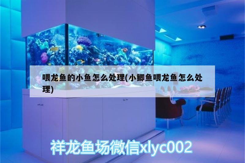 如何判斷立達金龍魚的健康狀況，如何判斷立達金龍魚的健康狀況？ 如何判斷立達金龍魚的健康狀況，如何判斷立達金龍魚的健康狀況？ 龍魚百科 第1張