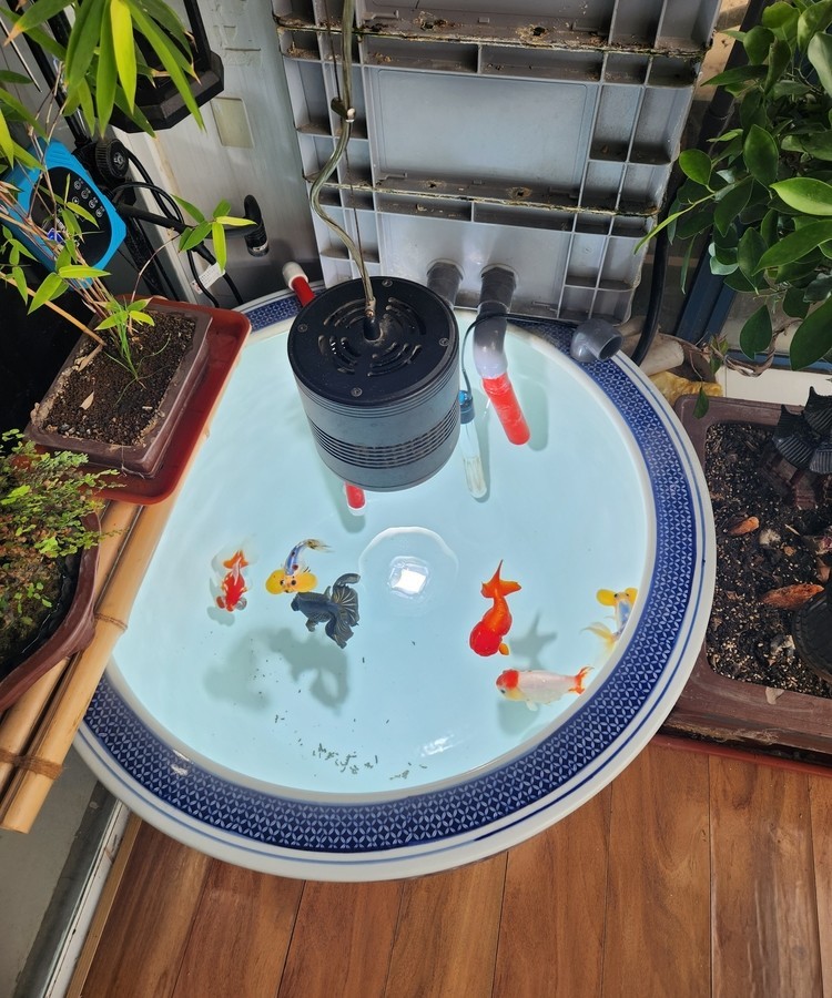 好久沒(méi)在這里了