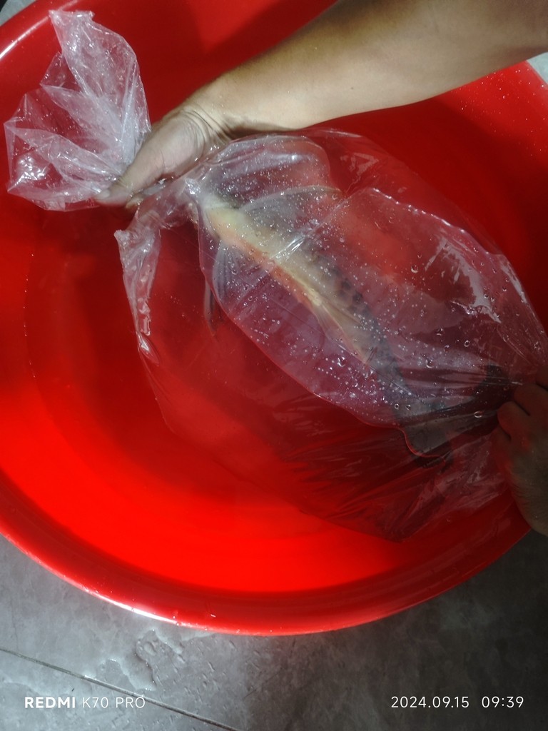 圈選打卡 撞缸把嘴撞歪了，趁假期，稍微修一下