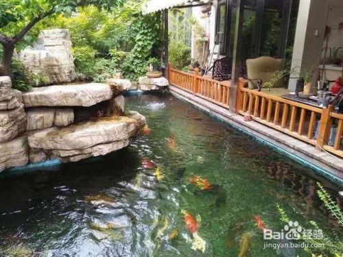 魚(yú)缸水面大量泡沫怎么辦（魚(yú)缸水面大量泡沫怎么辦呢） 魚(yú)缸水面大量泡沫怎么辦（魚(yú)缸水面大量泡沫怎么辦呢） 魚(yú)缸百科