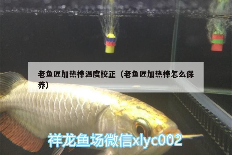 魚缸用增氧泵價格是多少:魚缸增氧機-xtrac增氧機-xtrac增氧機 老魚匠加熱棒溫度校正(老魚匠加熱棒怎么保養(yǎng)) 老魚匠 老魚匠加熱棒溫度校正(老魚匠加熱棒怎么保養(yǎng)) 老魚匠加熱棒溫度校正(老魚匠加熱棒怎么保養(yǎng)) 老魚匠