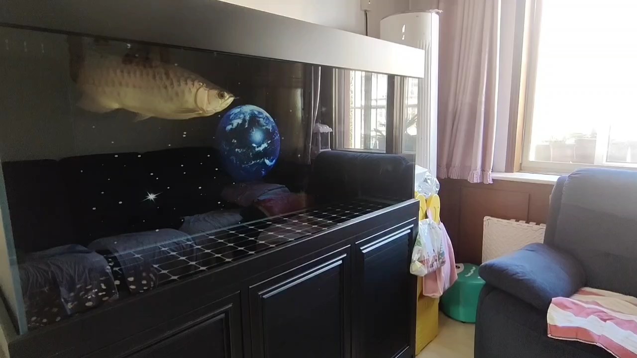 九月到了打個卡