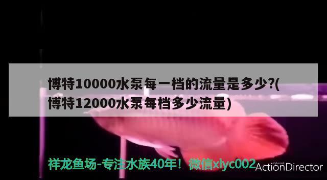 博特10000水泵每一檔的流量是多少?(博特12000水泵每檔多少流量) 博特10000水泵每一檔的流量是多少?(博特12000水泵每檔多少流量) 博特水族