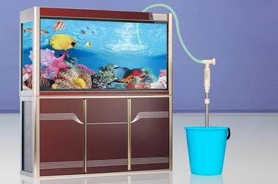 博特魚缸換水時間怎么調長短：博特魚缸換水時間怎么調
