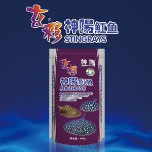 魟魚小的時候喂什么飼料好養活：海洋霸主鯊魚近親，但在飼養過程中選擇合適的飼料是非常重要的