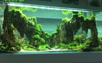 創寧水泵官方網站電話是多少啊（創寧水泵官方網站電話是多少啊）
