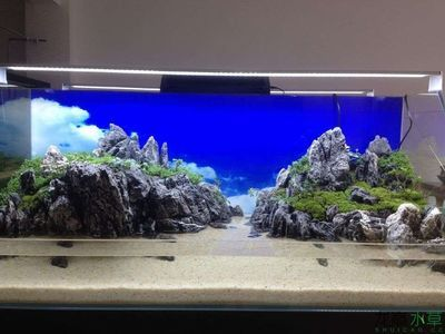 5米超大魚缸制作視頻：制作5米超大魚缸需要注意什么？ 5米超大魚缸制作視頻：制作5米超大魚缸需要注意什么？ 魚缸百科 第4張