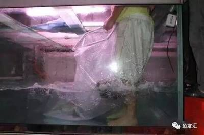 5米超大魚缸制作視頻：制作5米超大魚缸需要注意什么？ 5米超大魚缸制作視頻：制作5米超大魚缸需要注意什么？ 魚缸百科 第3張