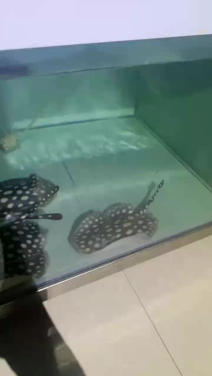 #狀態