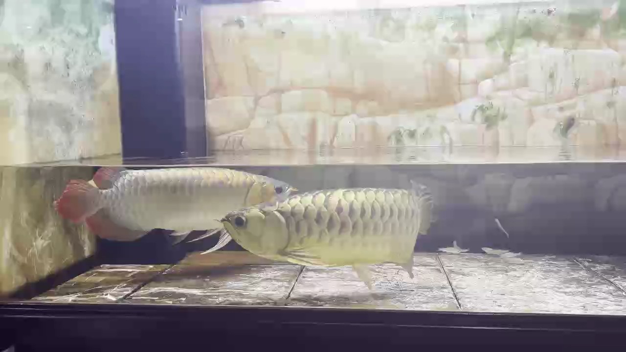 換水咯