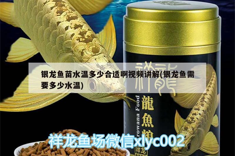 銀龍魚苗水溫多少合適啊視頻講解(銀龍魚需要多少水溫)