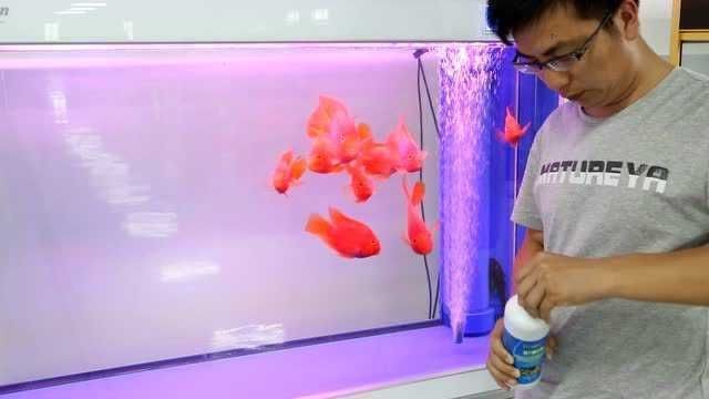 森森的硝化細菌能用嗎