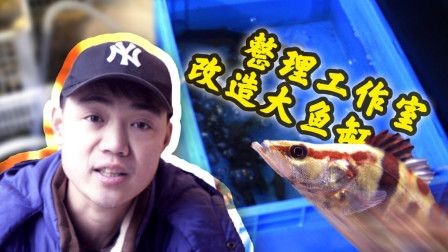虎魚(yú)長(zhǎng)紅包：虎魚(yú)身上出現(xiàn)紅包可能有多種原因 虎魚(yú)長(zhǎng)紅包：虎魚(yú)身上出現(xiàn)紅包可能有多種原因 虎魚(yú)百科 第2張