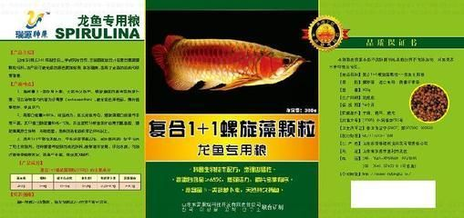 東營龍魚vs祥龍魚場（東營龍魚養殖和出口領域具有較高的專業水平和國際聲譽）