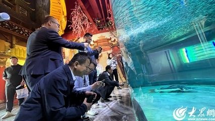 東營龍魚vs祥龍魚場（東營龍魚養殖和出口領域具有較高的專業水平和國際聲譽）