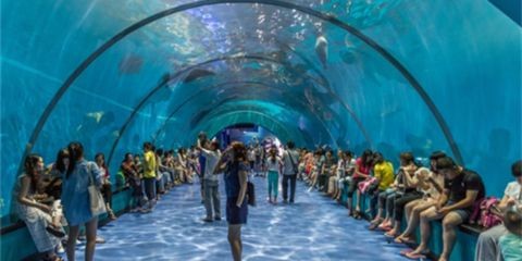 石家莊水族館vs祥龍魚場（石家莊水族館與祥龍魚場各有其特色和側重點）
