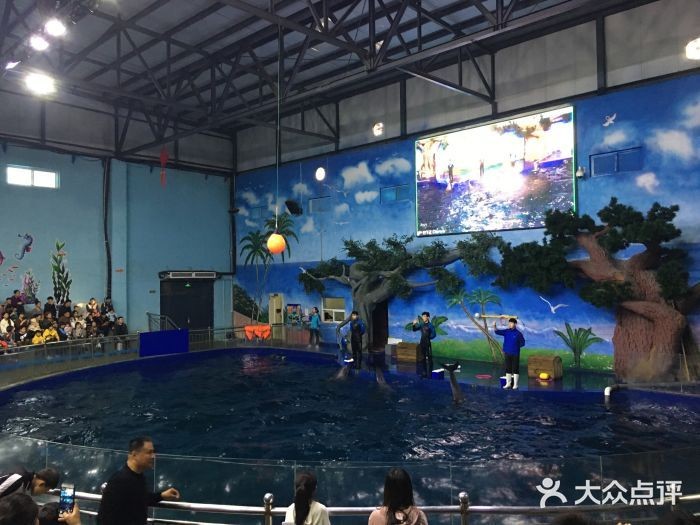石家莊水族館vs祥龍魚場（石家莊水族館與祥龍魚場各有其特色和側重點）