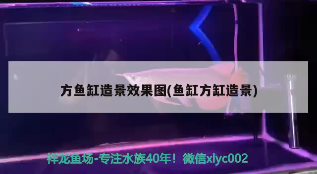 魚缸用增氧泵價格是多少:魚缸增氧機-xtrac增氧機-xtrac增氧機 方魚缸造景效果圖(魚缸方缸造景) iwish愛唯希品牌魚缸 方魚缸造景效果圖(魚缸方缸造景) 方魚缸造景效果圖(魚缸方缸造景) iwish愛唯希品牌魚缸