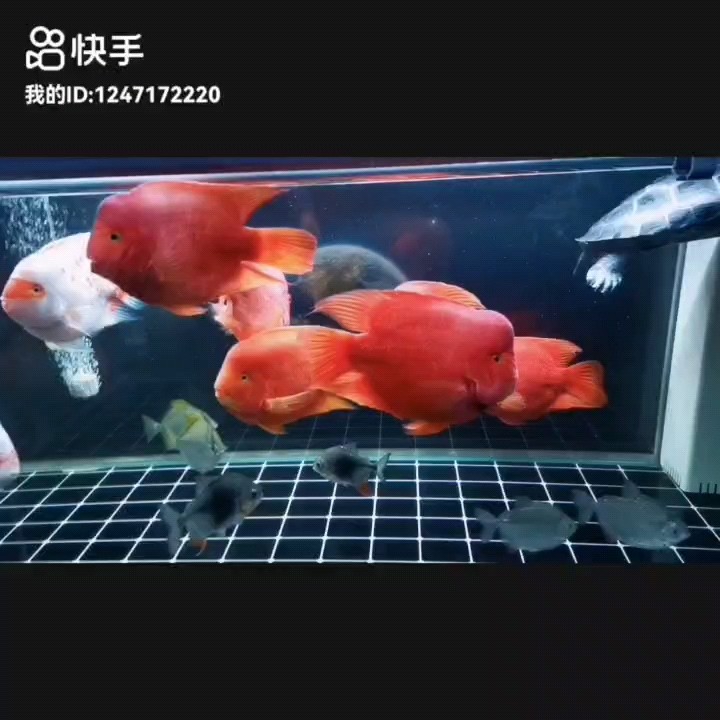 事事順遂，會越來越好發，南無阿彌陀佛??????