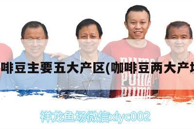 咖啡豆主要五大產區(咖啡豆兩大產地)