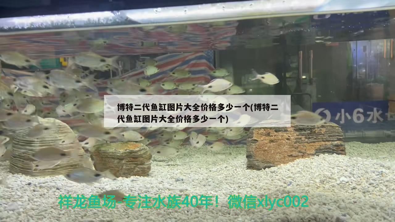 博特二代魚缸圖片大全價(jià)格多少一個(gè)(博特二代魚缸圖片大全價(jià)格多少一個(gè))