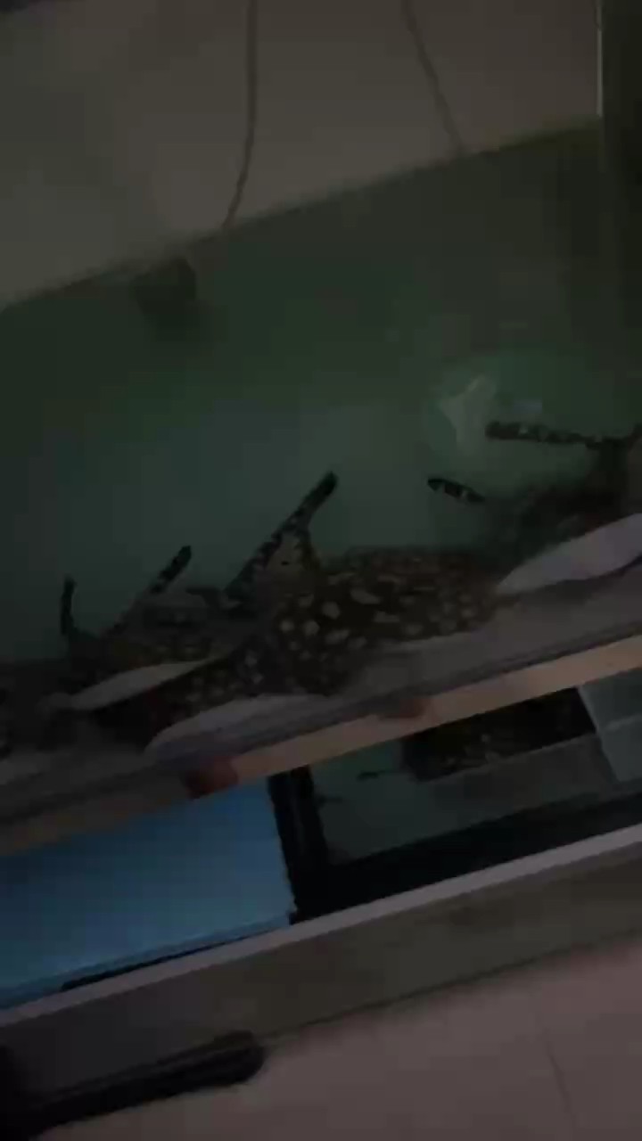 狀態(tài)決定健康