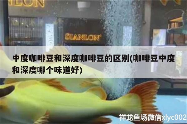 中度咖啡豆和深度咖啡豆的區別(咖啡豆中度和深度哪個味道好)