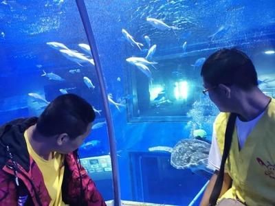包頭水族館vs祥龍魚場(包頭水族館與祥龍魚場各有特色) 全國水族館企業(yè)名錄 第3張 包頭水族館vs祥龍魚場(包頭水族館與祥龍魚場各有特色) 包頭水族館vs祥龍魚場(包頭水族館與祥龍魚場各有特色) 全國水族館企業(yè)名錄 第3張