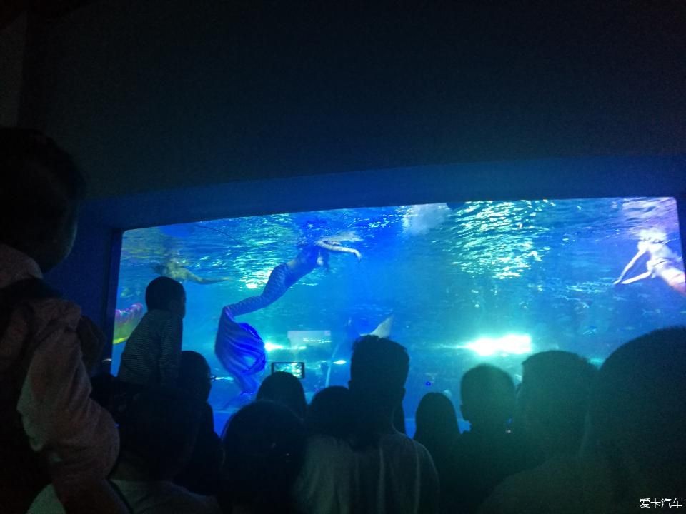 包頭水族館vs祥龍魚場(包頭水族館與祥龍魚場各有特色) 全國水族館企業(yè)名錄 第4張 包頭水族館vs祥龍魚場(包頭水族館與祥龍魚場各有特色) 包頭水族館vs祥龍魚場(包頭水族館與祥龍魚場各有特色) 全國水族館企業(yè)名錄 第4張