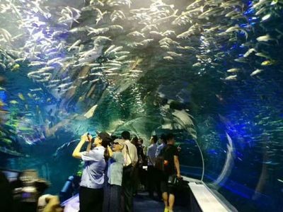 包頭水族館vs祥龍魚場(包頭水族館與祥龍魚場各有特色) 全國水族館企業(yè)名錄 第5張 包頭水族館vs祥龍魚場(包頭水族館與祥龍魚場各有特色) 包頭水族館vs祥龍魚場(包頭水族館與祥龍魚場各有特色) 全國水族館企業(yè)名錄 第5張
