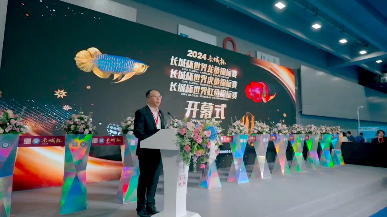 巔峰對決，熱血燃燒！問鼎巔峰，無冕之王 2024年9月11日下午一點進行頒獎，誠邀大家蒞臨，共同為獲獎者喝彩??