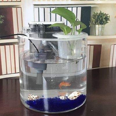 玻璃小魚(yú)缸養(yǎng)魚(yú)能活嗎有毒嗎：如何在小魚(yú)缸中養(yǎng)魚(yú)？
