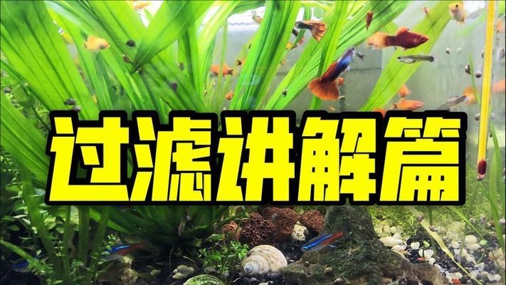 雷山縣海洋之心水族館（雷山縣海洋之心水族館電話）