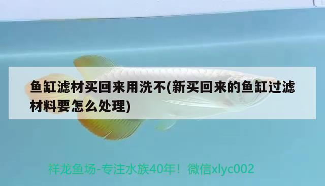 關(guān)于60厘米長的魚缸多高合適的信息