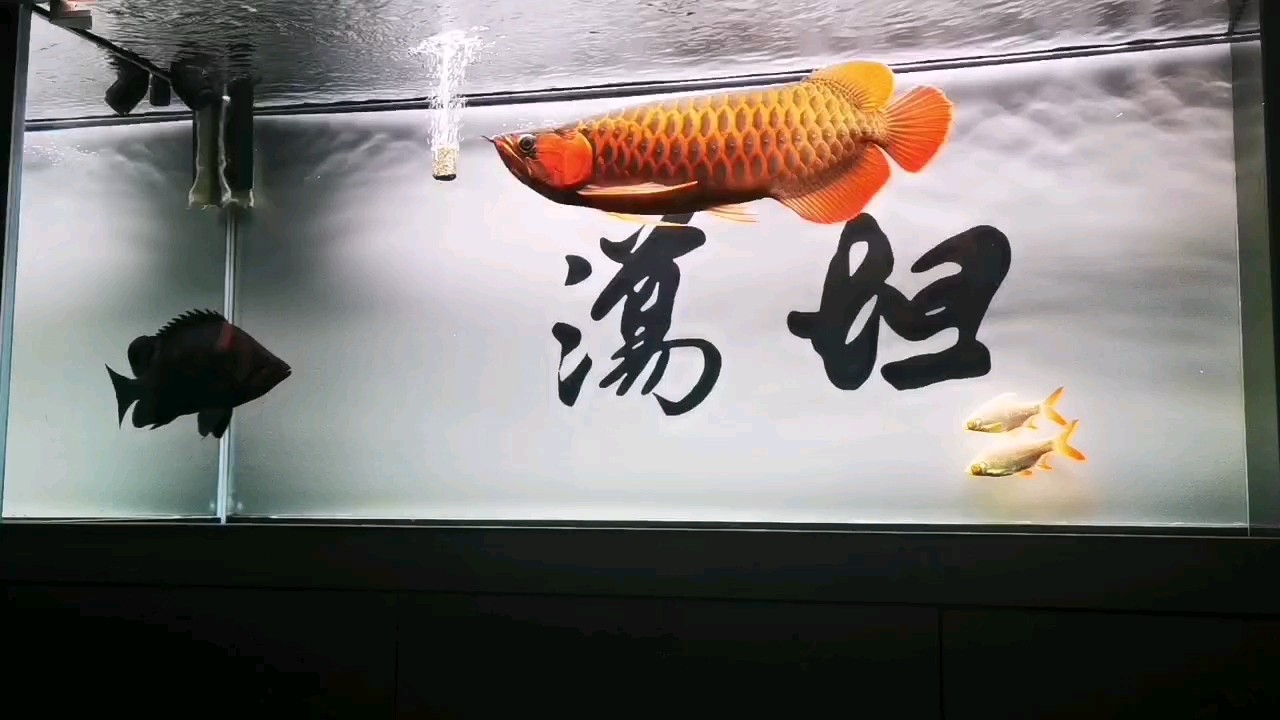默默地陪伴、