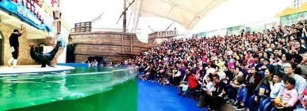 遵義水族館vs祥龍魚場（遵義水族館和祥龍魚場各有特點，選擇哪一個取決于你的具體需求）